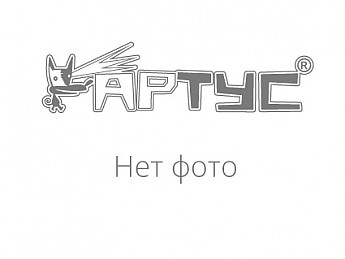 Открытие стелы «Орша – город трудовой славы. 1941-1945 гг.»
