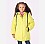 4532_limonniy